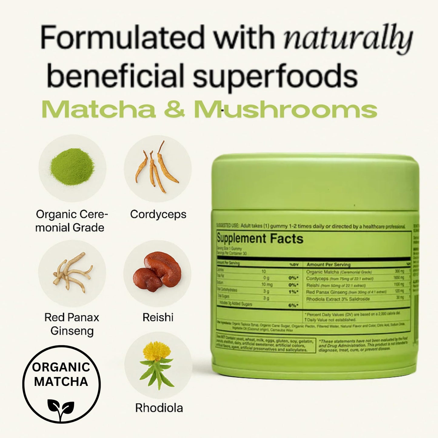 Motiv Organic Matcha & Mushrooms Energy Gummies – 300 MG Concentrate