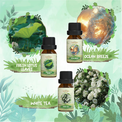 Soulorigin Nature Fragrance Oils Set – Essential Oil Gift for Diffusers & Candle Making