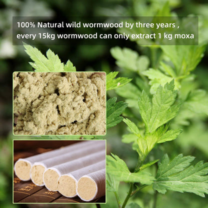 10PCS Box Chinese Moxa Sticks 15:1 3-Year Chen High Purity Moxibustion Roll (艾灸条)