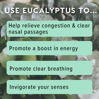 MOXĒ Eucalyptus Essential Oil Nasal Inhaler | Sinus Relief, Daily Relaxation & Stress Relief | Made in USA