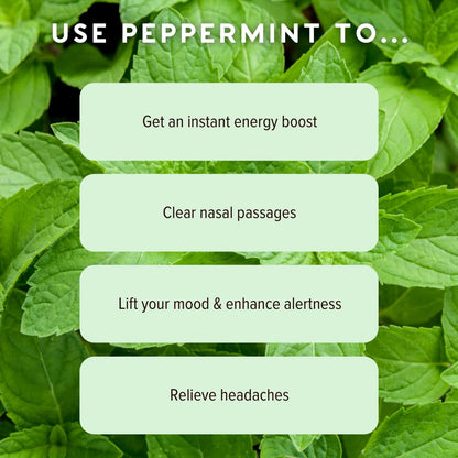 MOXĒ Peppermint Essential Oil Nasal Inhaler – Pure, No-Mess Aromatherapy (3 Pack)