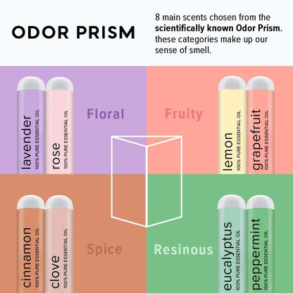 MOXĒ Smell Training Kit – Made in USA, 8 Essential Oils (Phase 1 & 2)