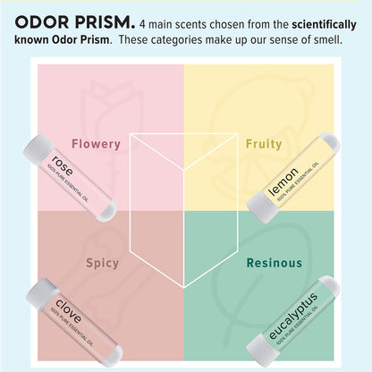 MOXĒ Smell Training Kit | Made in USA | 4 Essential Oils (Phase 1)