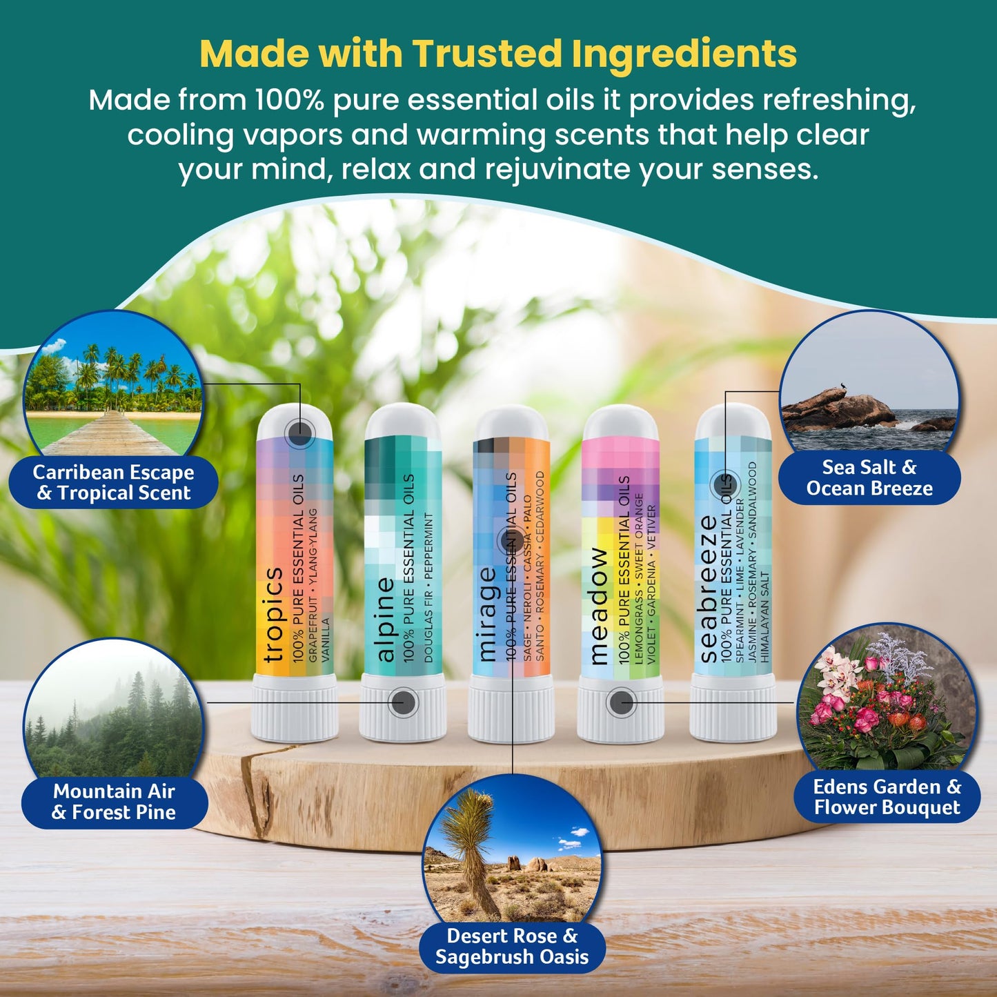 MOXĒ Nature Gift Bundle: 5 Aromatherapy Inhalers with Pure Essential Oils, Made in USA