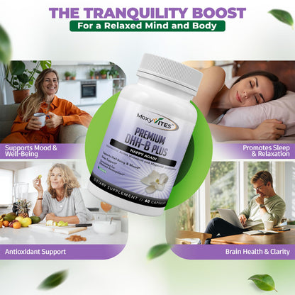 MoxyVites DHH-B: Bioactive Honokiol Magnolia Bark Extract – 60 Vegan Capsules