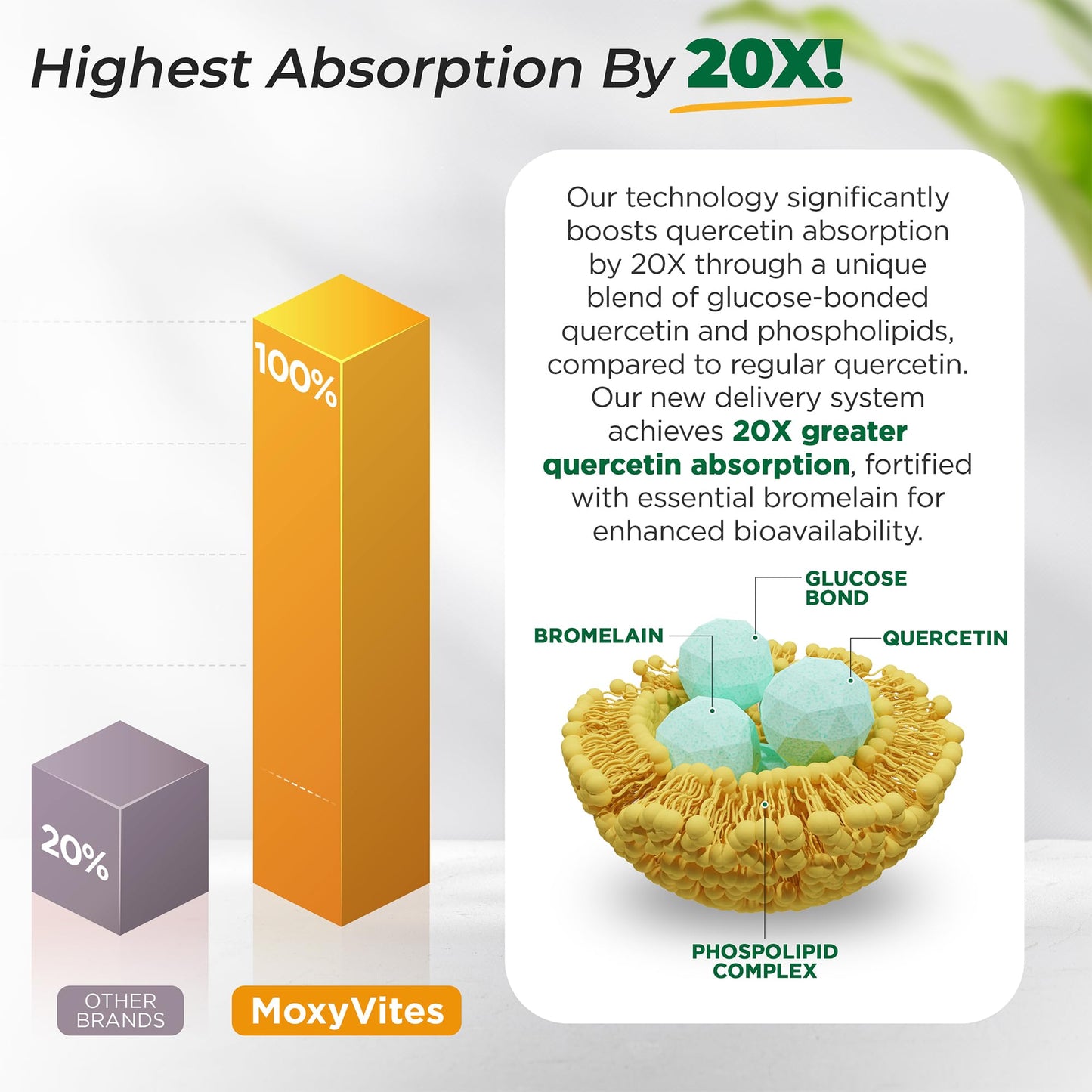 MoxyVites Quercetin 500mg with Bromelain | 20x Absorption, 120 Caps