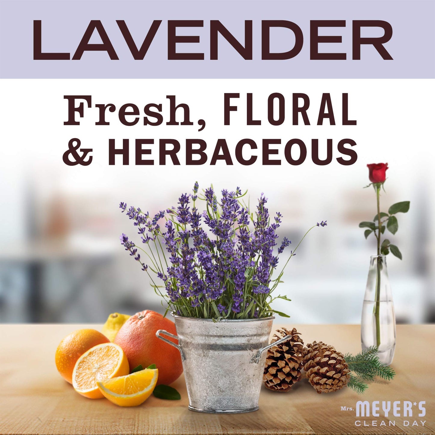 MRS. MEYER'S CLEAN DAY Lavender Soy Tin Candle - 12 Hour Burn Time, 2.9 Oz