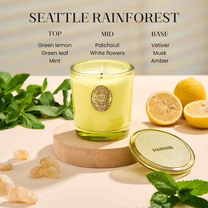 M&SENSE Natural Soy Candle – Seattle Rainforest & Matcha Green | 9.2 oz