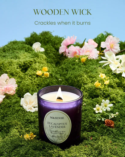 M&SENSE Eucalyptus Lavender Candle – 18oz, 100+ Hours, Wooden Wick, Non-Toxic