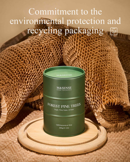 M&SENSE Frosted Pine Scented Candle – Natural Soy Blend, 11.3oz, 70-Hour Burn