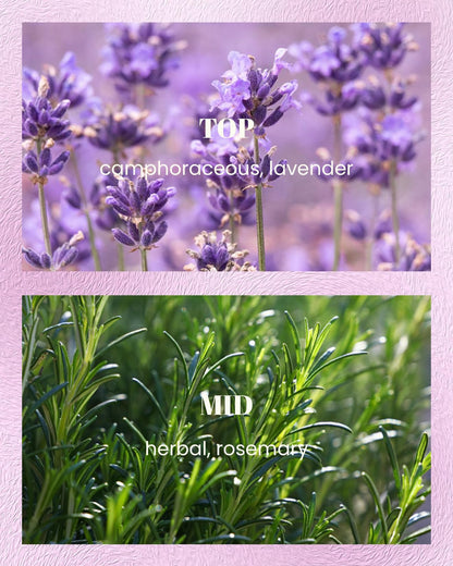 M&SENSE Lavender Rosemary Scented Candles | Vegan Soy 10oz, 42h Burn
