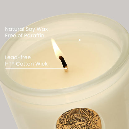 M&SENSE Natural Soy Candle – Vanilla Dream & White | 9.2 oz, 50H Burn