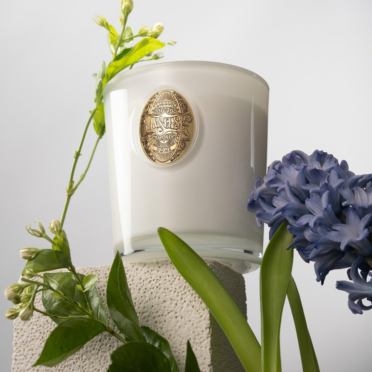 M&SENSE Natural Soy Candle – Vanilla Dream & White | 9.2 oz, 50H Burn