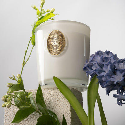 M&SENSE Natural Soy Candle – Vanilla Dream & White | 9.2 oz, 50H Burn