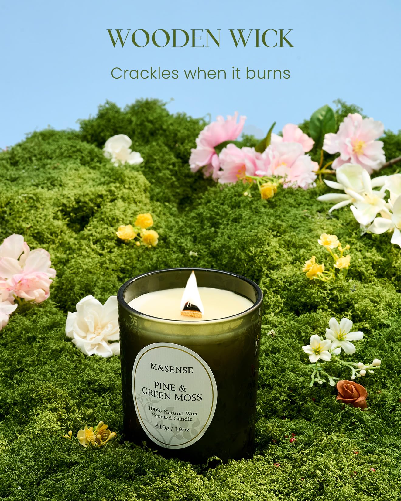 M&SENSE Pine & Moss Scented Candle – Natural Soy Wax, 18oz, 100 Hours