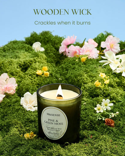 M&SENSE Pine & Moss Scented Candle – Natural Soy Wax, 18oz, 100 Hours