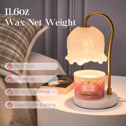 M&SENSE Plaid 3-Wick Soy Candle 11.64 oz – Saltwater Rose | Relaxation & Home Décor