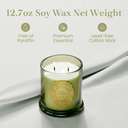 M&SENSE Sage Eucalyptus Soy Candle – 12.7oz, 2-Wick, 70-Hour Burn, Non-Toxic