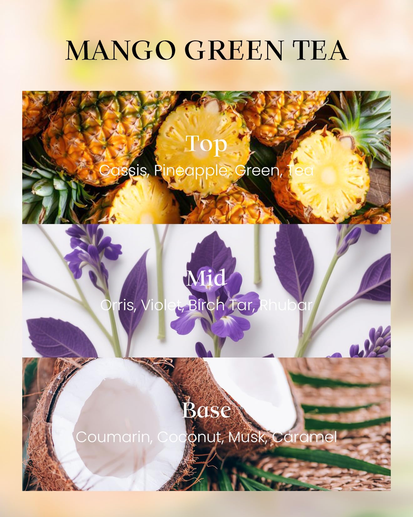 M&SENSE Mango Green Tea Scented Candle – Vegan Soy Wax, 8.1oz, 42-Hour Burn