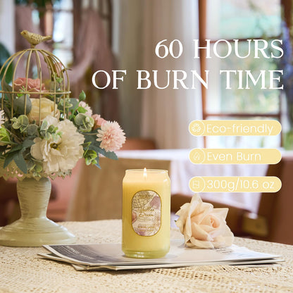 M&SENSE Vaillna Candles – 10.6 oz Soy Jar Candle, Non-Toxic, 60h Burn