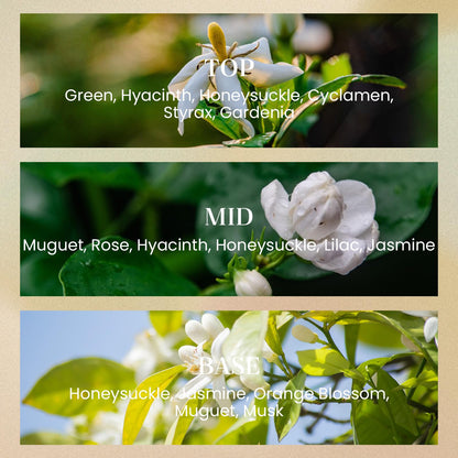 M&SENSE White Gardenia Candles – 2-Wick Soy, Non-Toxic, 70-Hour Burn | Luxury Home Scent Gift