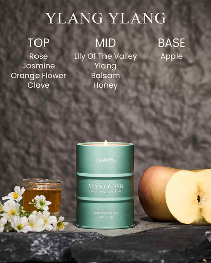 M&SENSE Ylang Ylang Scented Candle – Natural, Non-Toxic, 11.3oz, 70-Hour Burn