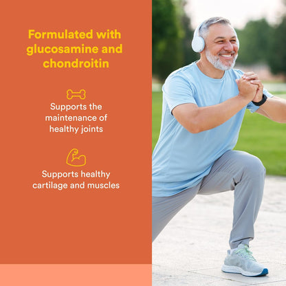 Natural Factors MSM Joint Formula – Supports Healthy Joints & Mobility | 180 Capsules