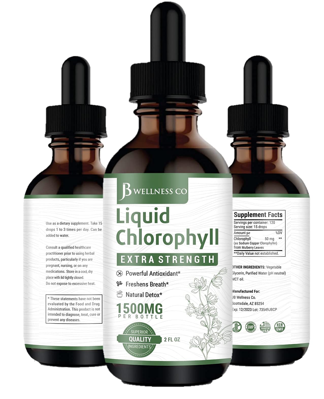 [2-Pack] Liquid Chlorophyll Drops – All-Natural Concentrate for Immune Support, Energy & Digestion | Mulberry Leaves - 240 Servings