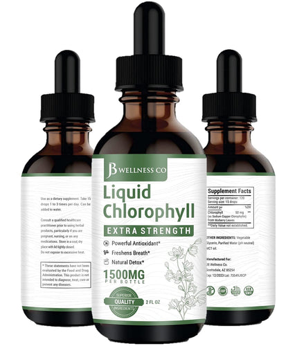 [2-Pack] Liquid Chlorophyll Drops – All-Natural Concentrate for Immune Support, Energy & Digestion | Mulberry Leaves - 240 Servings