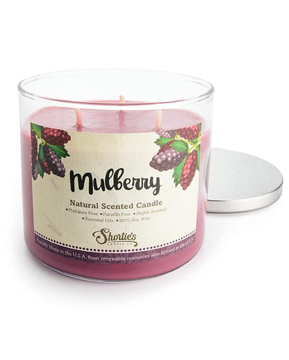 Mulberry Natural 3 Wick Candle – 14.5 oz – 100% Soy, Phthalate Free, Clean Burning