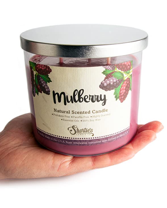 Mulberry Natural 3 Wick Candle – 14.5 oz – 100% Soy, Phthalate Free, Clean Burning