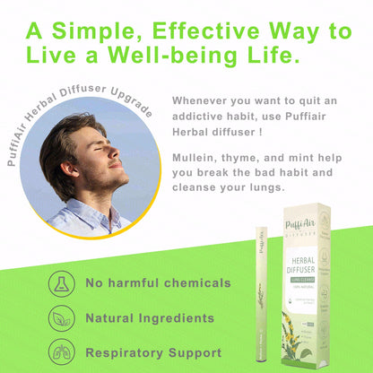 Upgraded Mullein Herbal Diffuser Stick – Lung Detox & Breathing Support | 600 Uses, 3 Sticks, 1 Pack