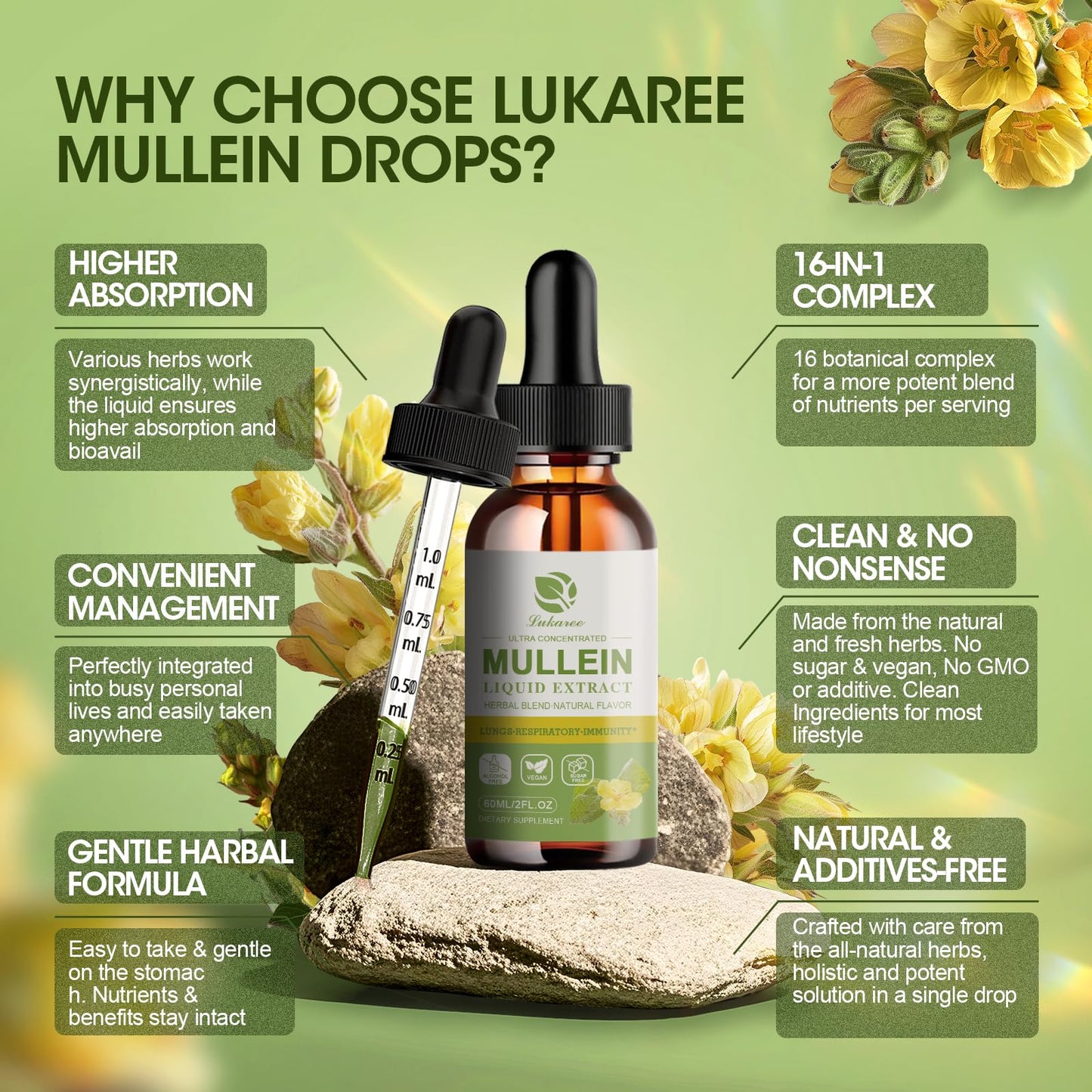 Mullein Drops for Lungs – Lung Detox & Cleanse | Vegan Mullein Leaf Tincture with Elderberry (Chlorophyll)