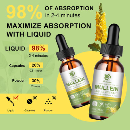 Mullein Drops for Lungs – Lung Detox & Cleanse | Vegan Mullein Leaf Tincture with Elderberry (Chlorophyll)