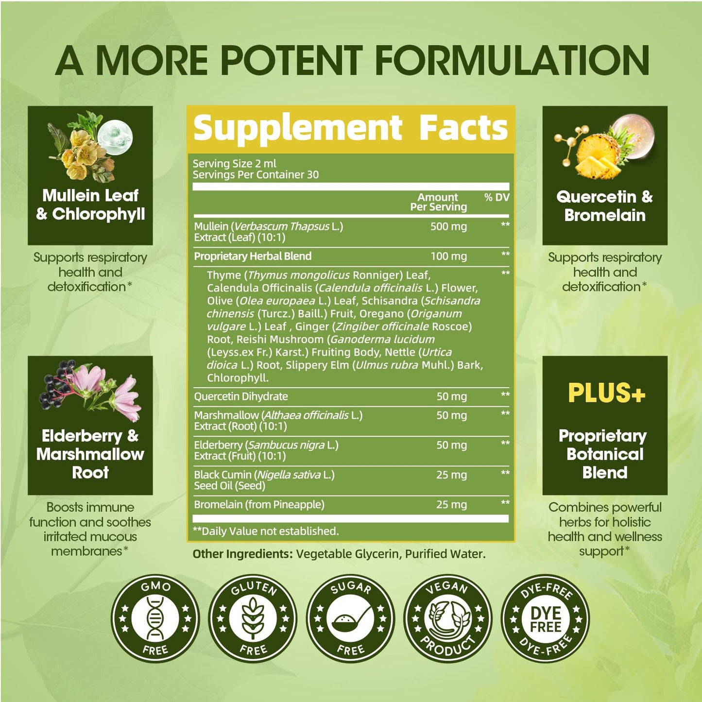 Mullein Drops for Lungs – Lung Detox & Cleanse | Vegan Mullein Leaf Tincture with Elderberry (Chlorophyll)