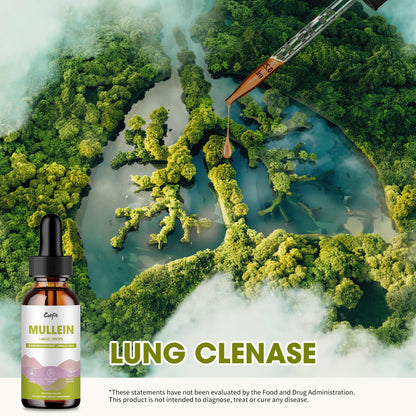 Mullein Drops for Lungs – Herbal Respiratory Support with Mullein, Marshmallow, Perilla & Astragalus, 2 fl oz | Vegan