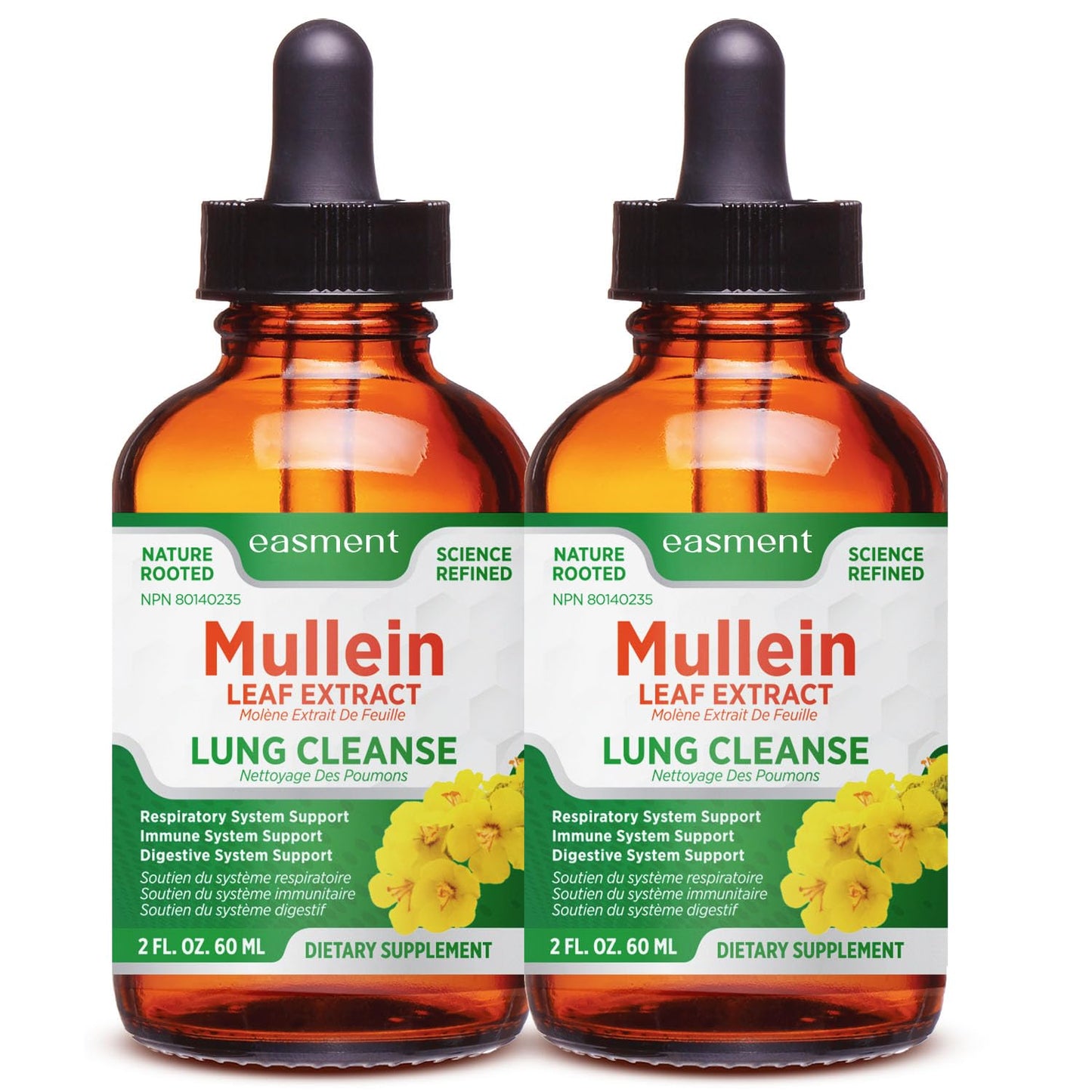 Mullein Drops for Lungs Cleanse – 2 Pack Lung Support Tincture with Mullein Leaf Extract