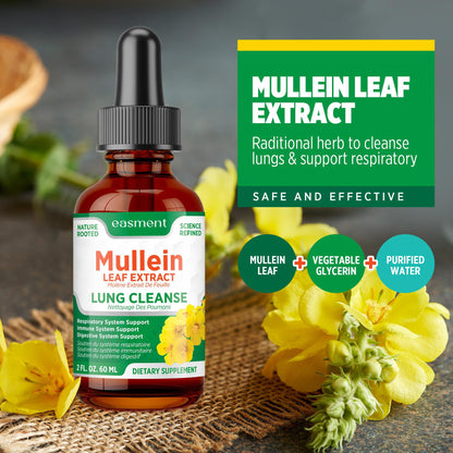Mullein Drops for Lungs Cleanse – 2 Pack Lung Support Tincture with Mullein Leaf Extract