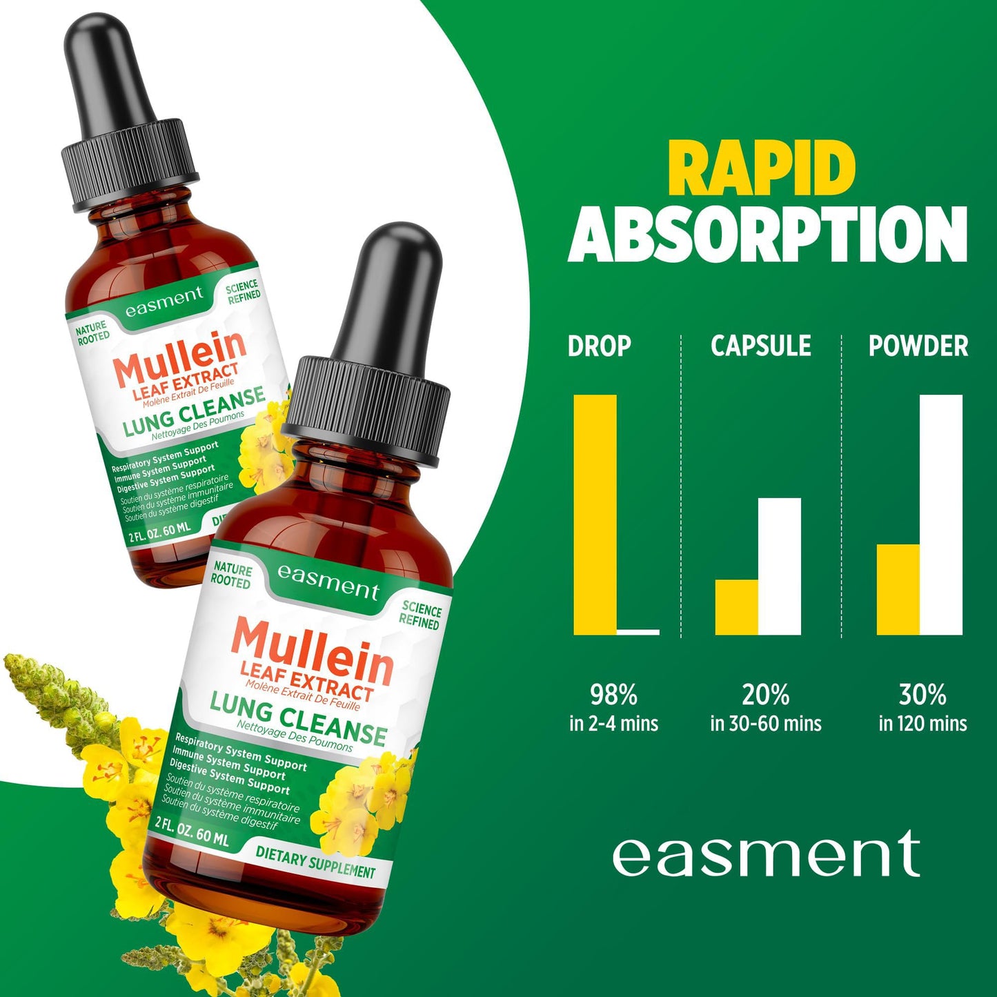 Mullein Drops for Lungs Cleanse – 2 Pack Lung Support Tincture with Mullein Leaf Extract