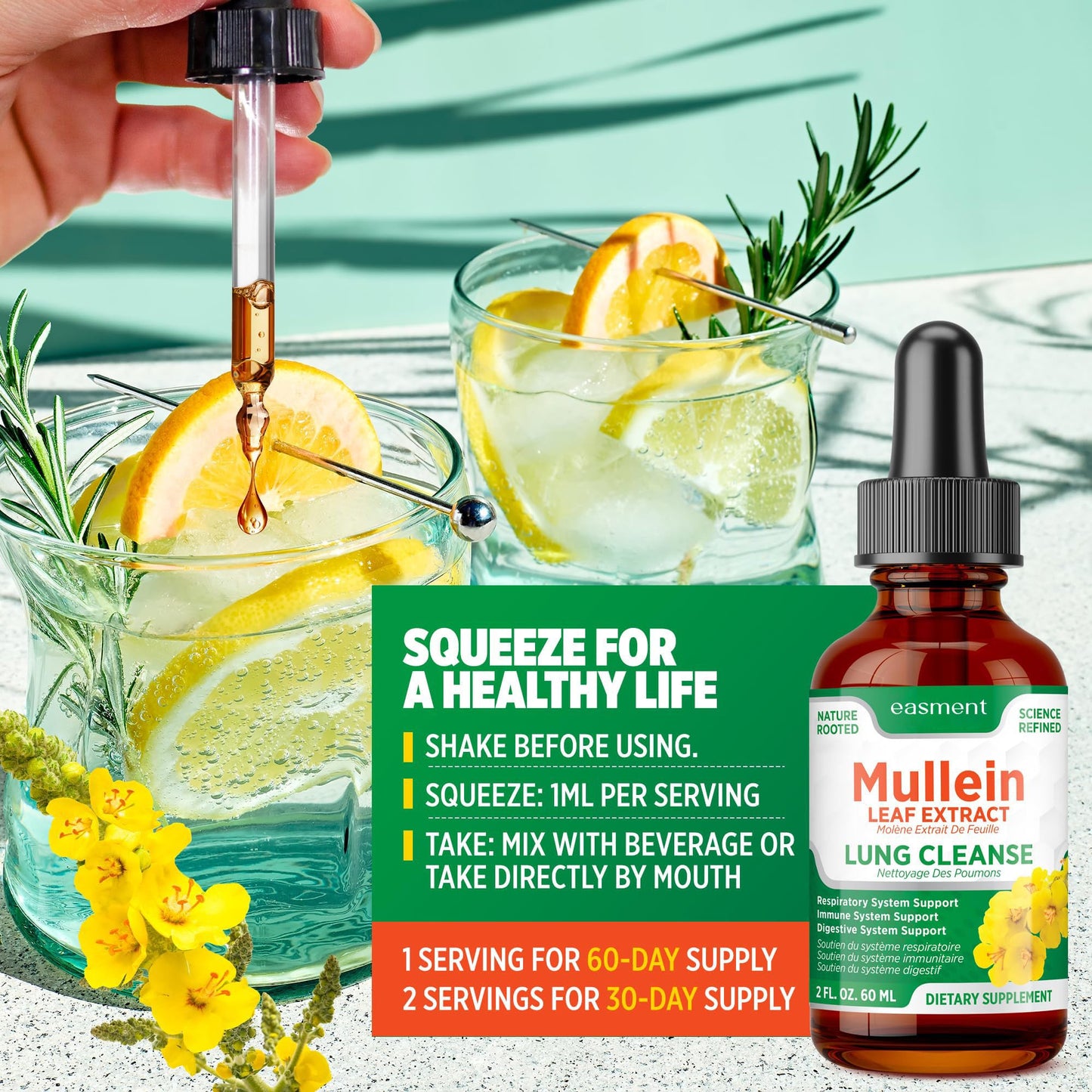 Mullein Drops for Lungs Cleanse – 2 Pack Lung Support Tincture with Mullein Leaf Extract