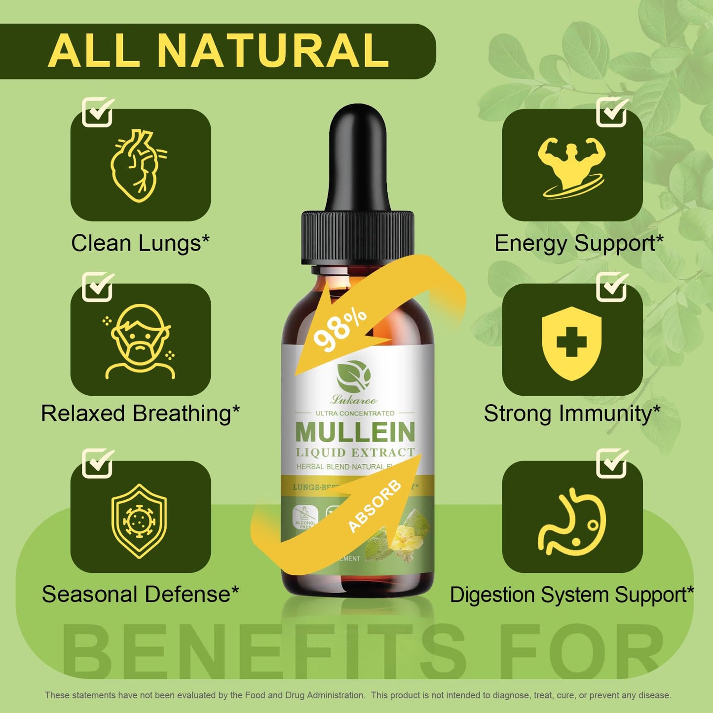 Mullein Drops for Lungs – Lung Detox & Cleanse | Vegan Mullein Leaf Tincture with Elderberry (Chlorophyll)