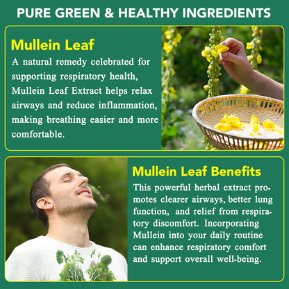 Mullein Gummies for Lungs | 2000mg Mullein Leaf Extract | Lung Support & Immune Health | 60 pcs