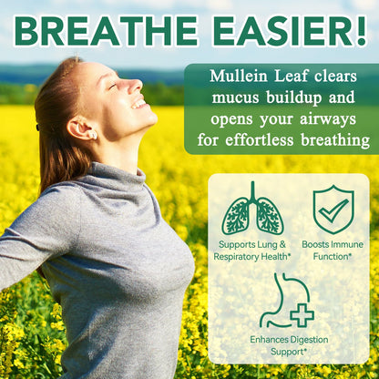 2 Pack Mullein Gummies for Lung Detox, Lung Cleanse & Mucus Relief
