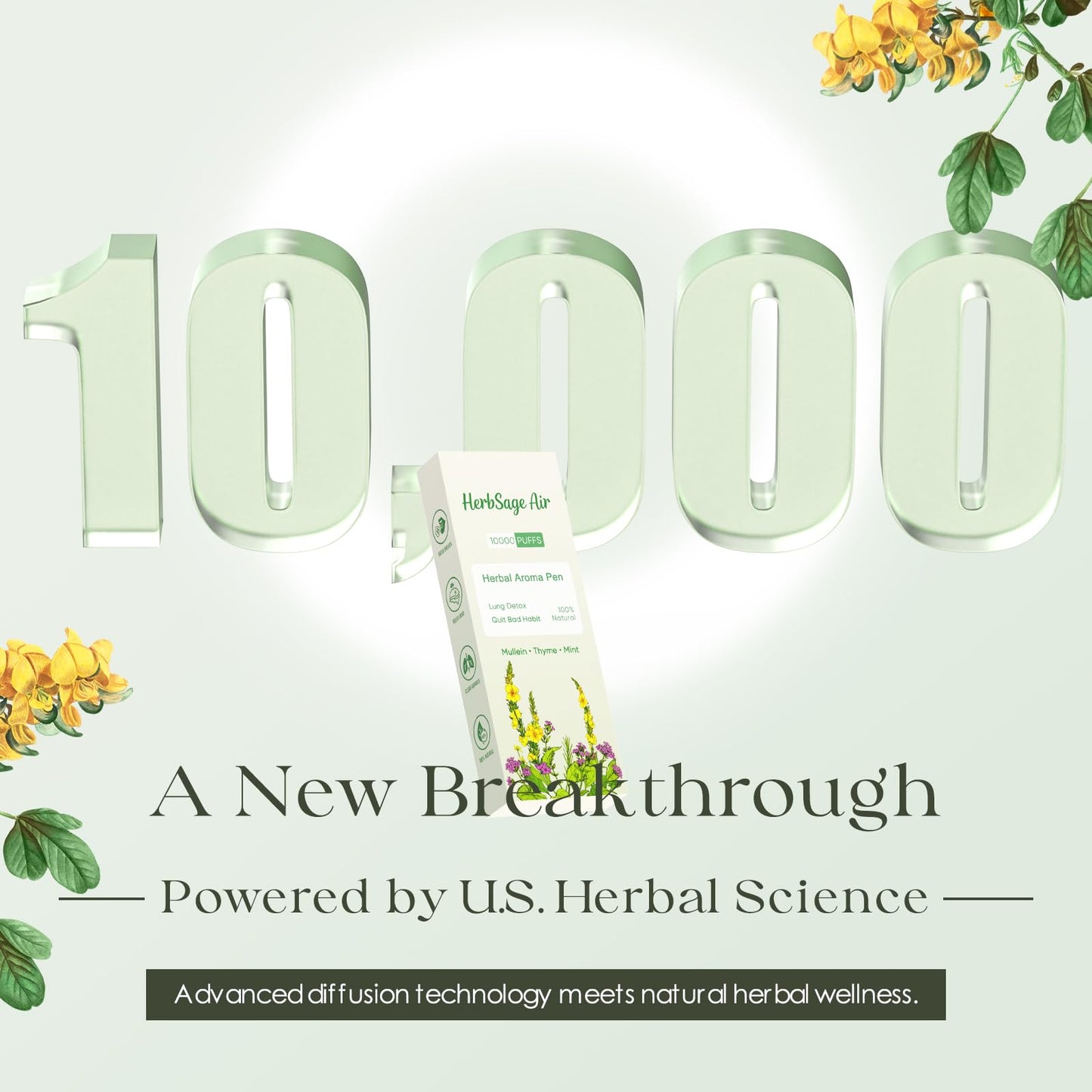 Mullein Herbal Diffuser Pen – ULTRA-LONG 10,000 Uses | All-Natural