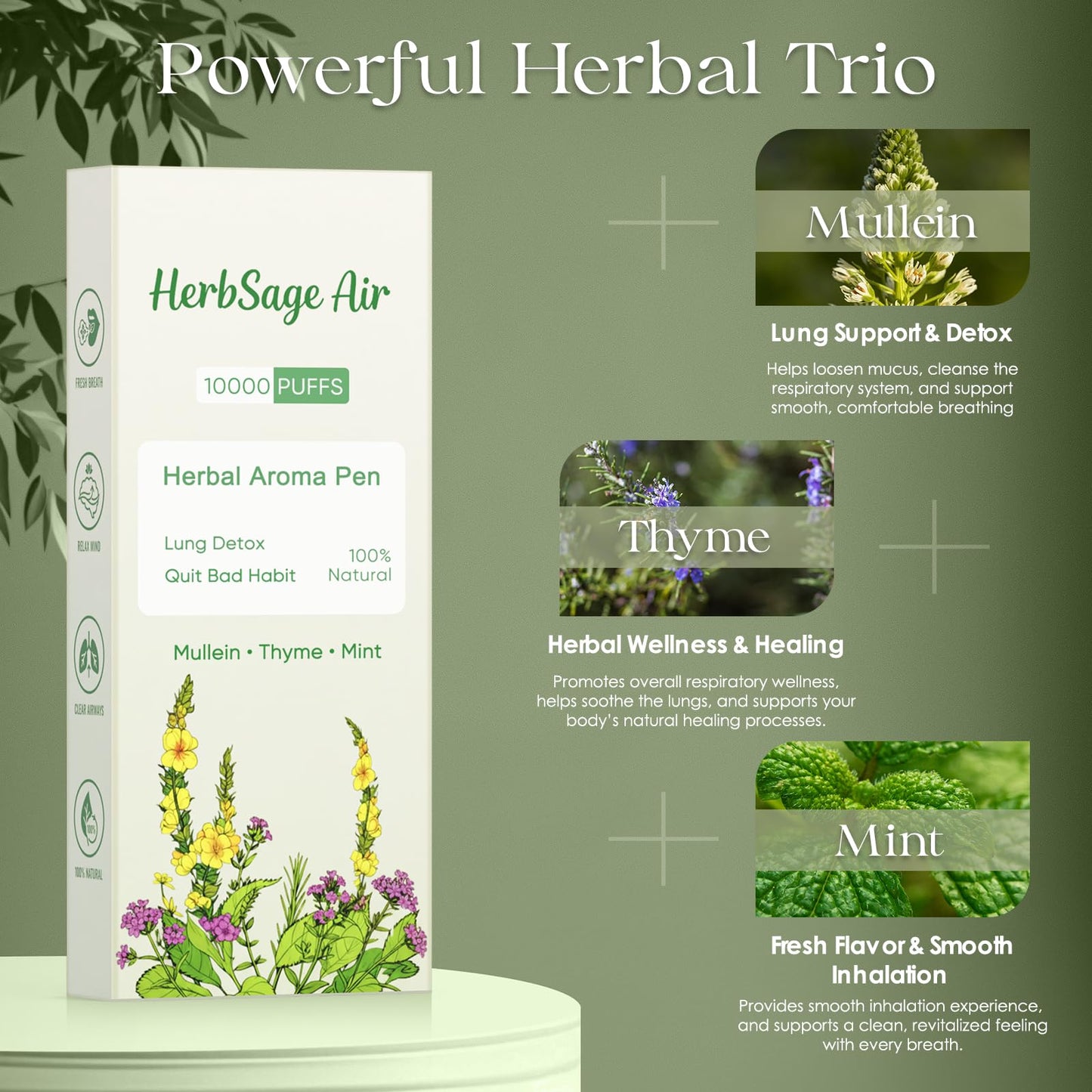 Mullein Herbal Diffuser Pen – ULTRA-LONG 10,000 Uses | All-Natural