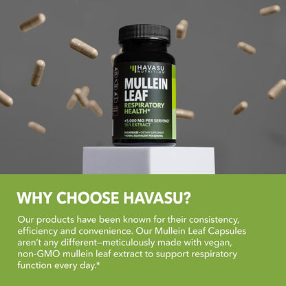 Mullein Leaf Capsules – 5000mg Extract (10:1) for Lung Support | Vegan & Non-GMO | 60 Count