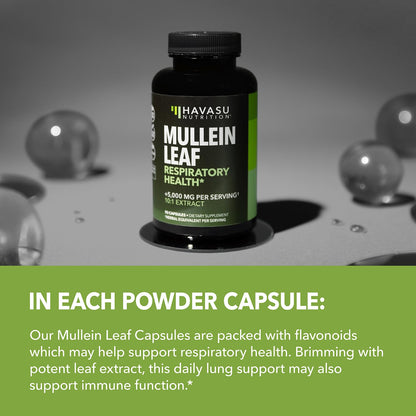 Mullein Leaf Capsules – 5000mg Extract (10:1) for Lung Support | Vegan & Non-GMO | 60 Count