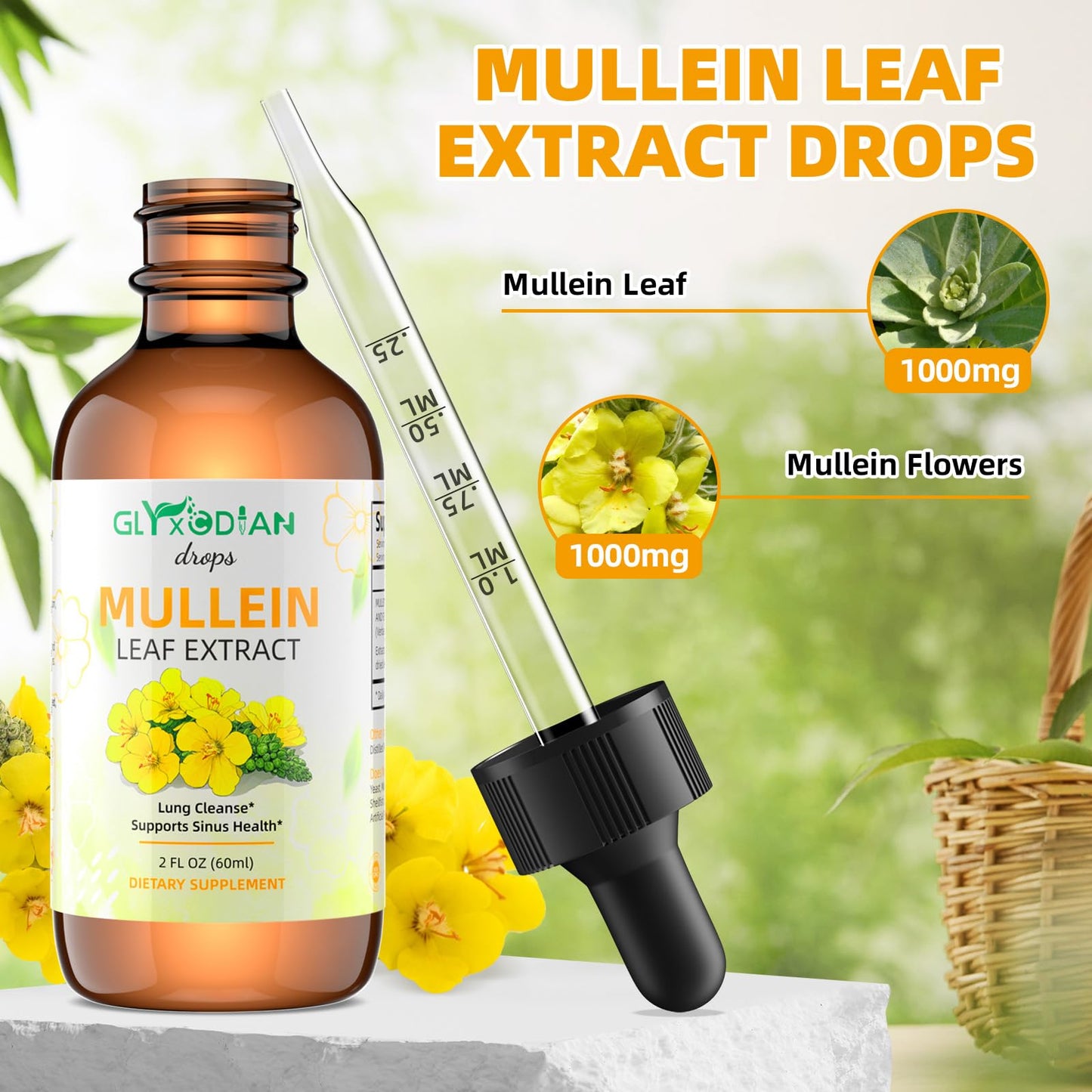 Mullein Leaf Extract Drops for Lungs – High Strength 1200mg Alcohol-Free Liquid Mullein | Lung Cleanse & Immune Support | Vegan & Non-GMO (60-Day Supply)