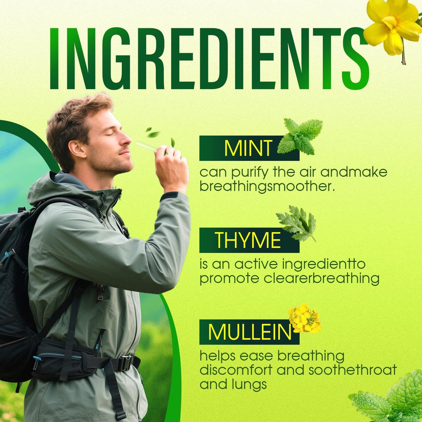 Mullein Diffuser Pen | Pure Breath Botanicals with Thyme & Mint - 600 Uses