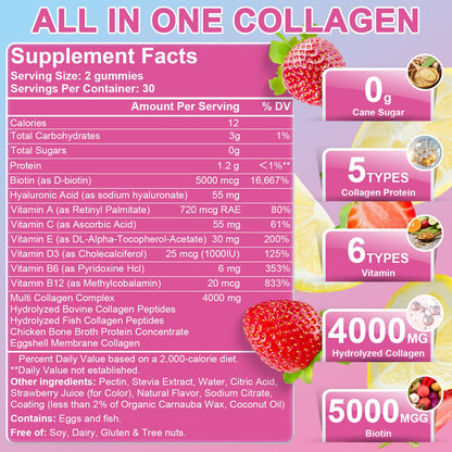 Multi Collagen Peptides Gummies Type I-V, X with Biotin & Hyaluronic Acid – Supports Skin, Hair & Nails | 60 Count, 1 Pack